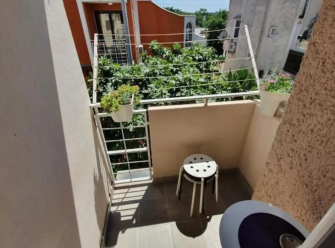 Viola Mareda Appartement