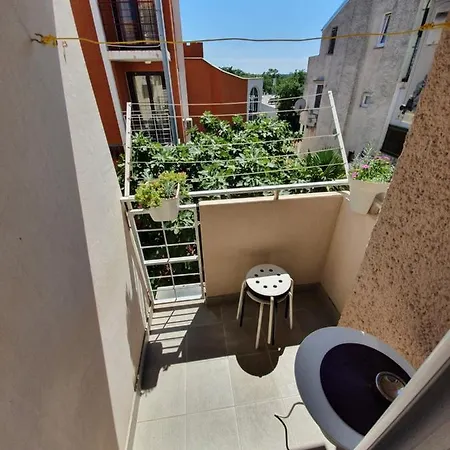 Viola Mareda Apartment