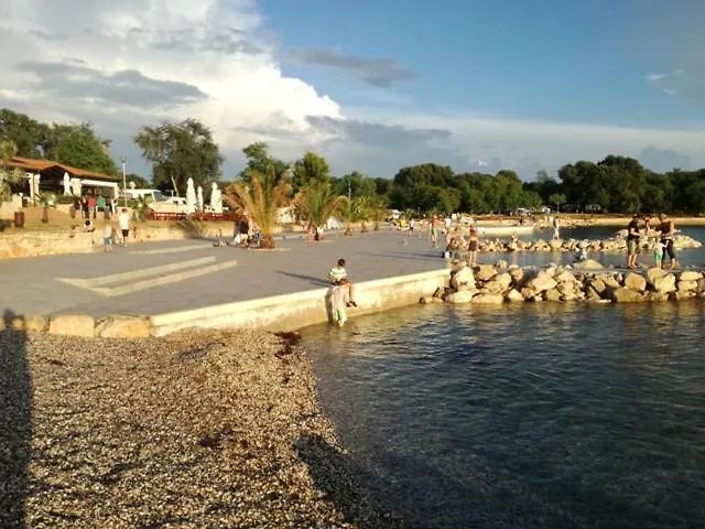 Viola Mareda Apartman *