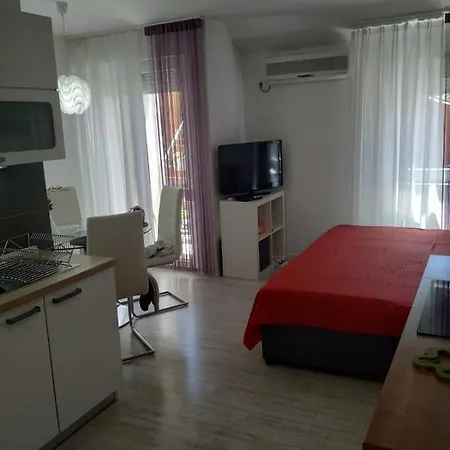 Viola Mareda Daire Novigrad Istria